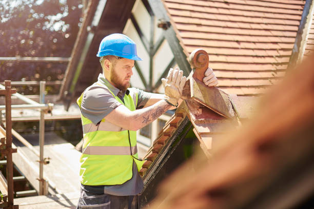 Best Storm Damage Roof Repair  in Adamsville, TN